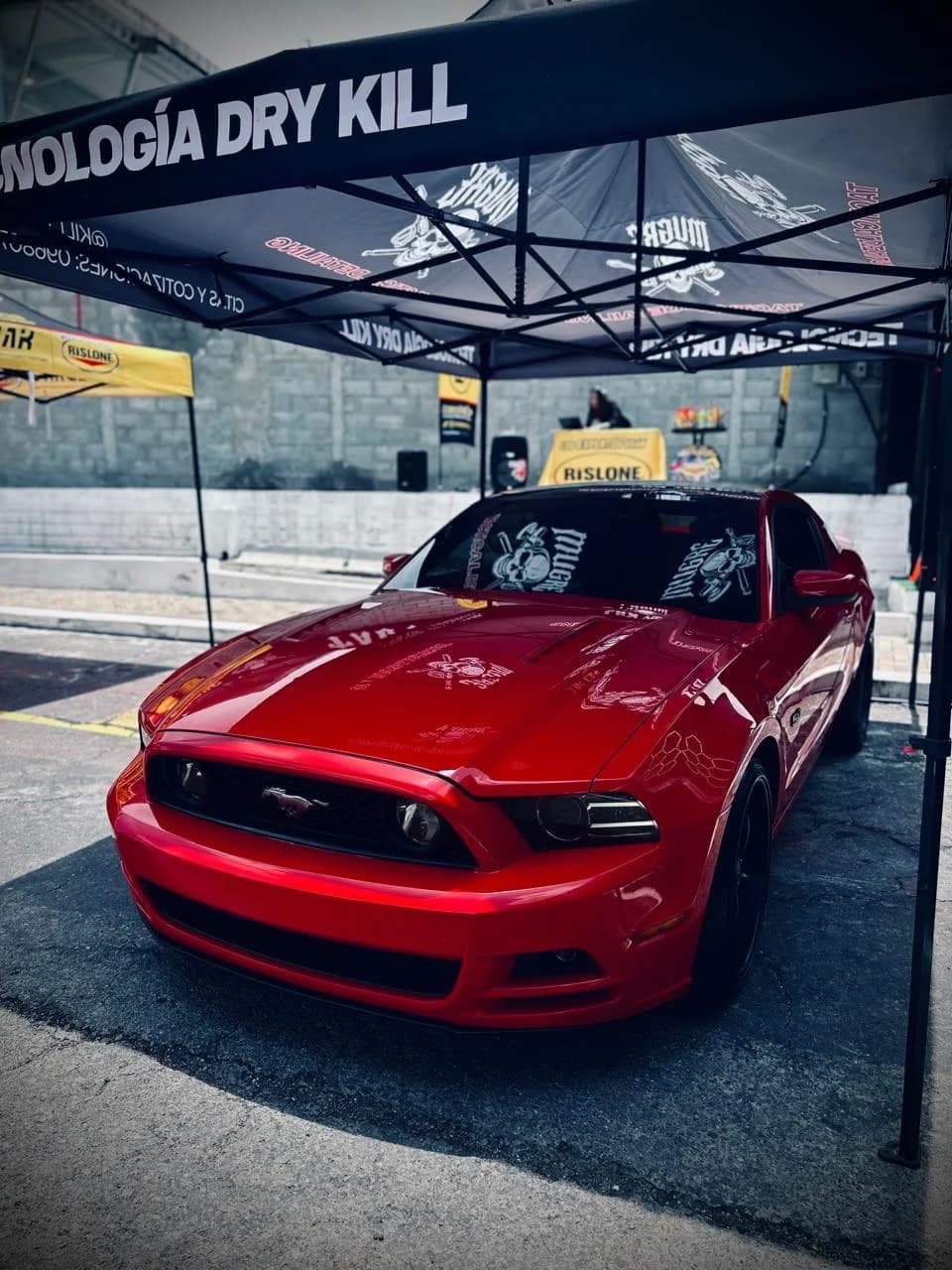 Lavado en seco Dry Kill — Mustang
